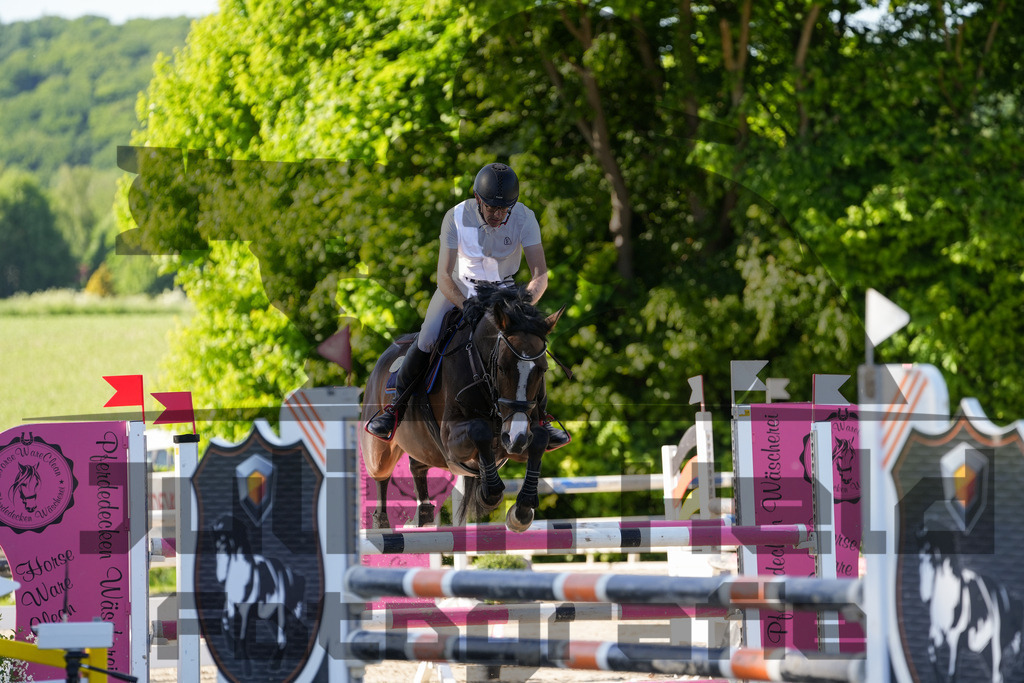 DSC02502 | Julian Held Fotografie - Realisiert mit Pictrs.com