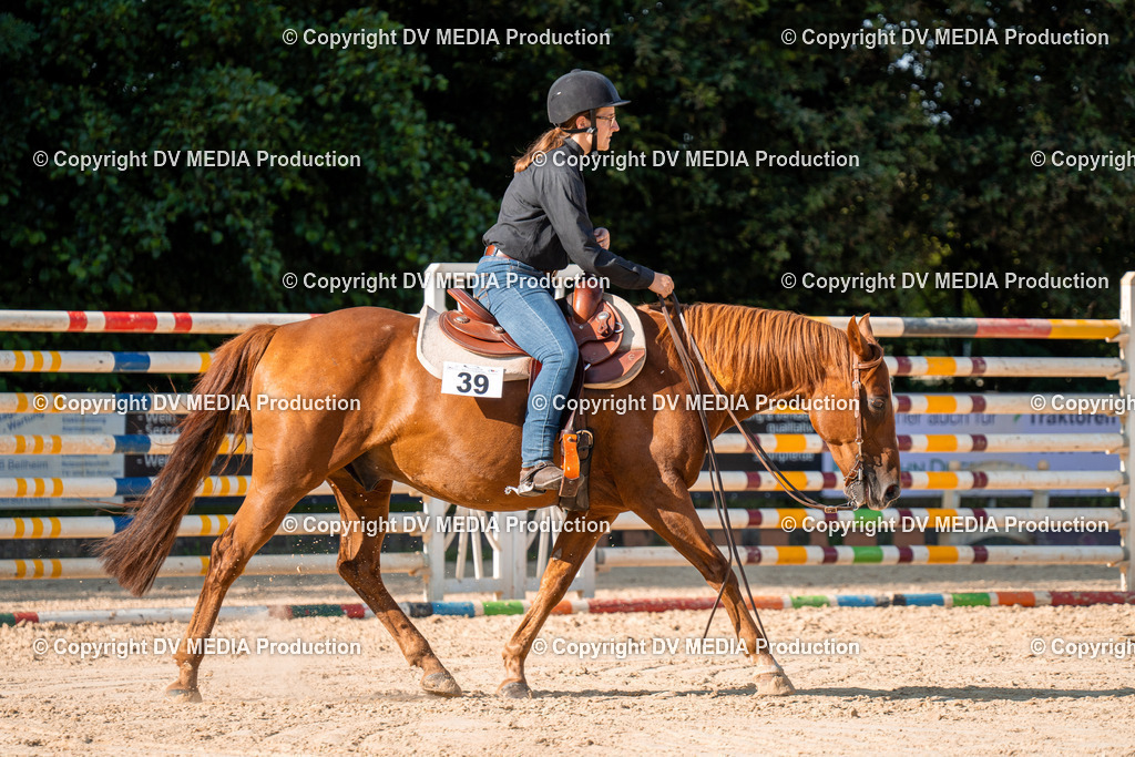 ZH100835 | dv-media-shop - Realisiert mit Pictrs.com