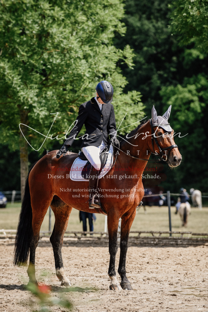 DSC_1171 | Pferde- und Turnierfotografie in Westsachsen. Pferdeportraits, Auftragszeichnungen und intuitive Kunst.