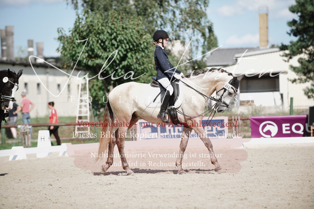DSC_9931 | Pferde- und Turnierfotografie in Westsachsen. Pferdeportraits, Auftragszeichnungen und intuitive Kunst.