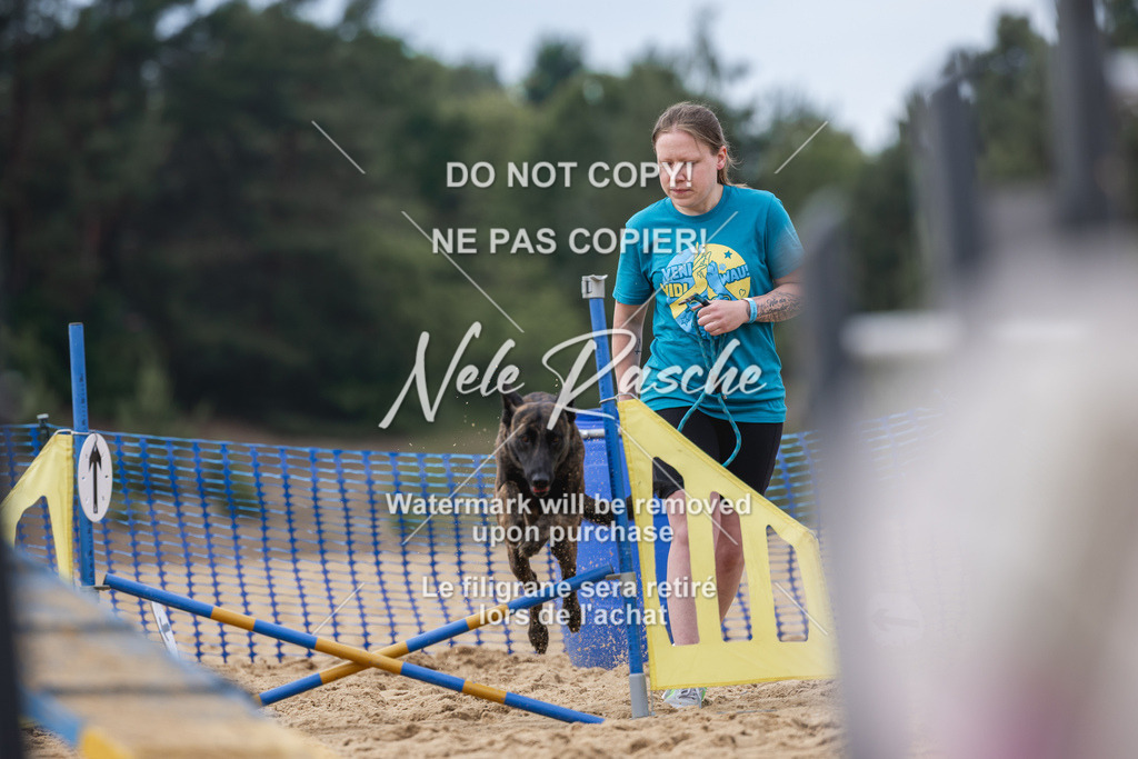 nelerasche_BuHu2026_So1530-Ende_94 | nelerasche