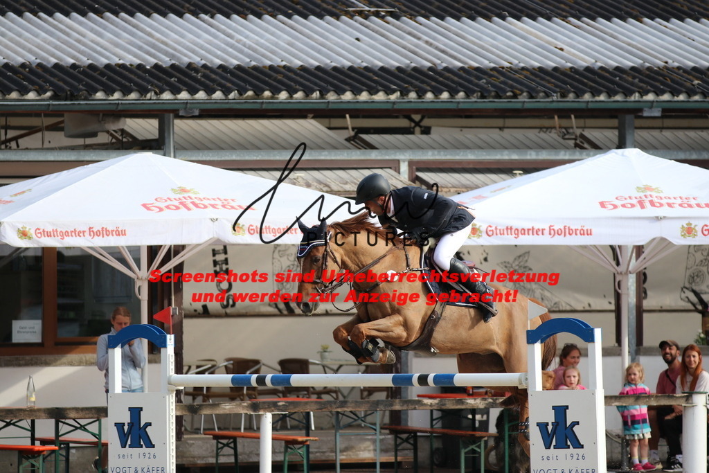 IMG_8636 | lmwpictures - Realisiert mit Pictrs.com