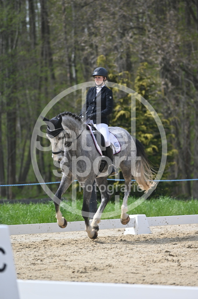 DSC_3599 | sattelsport - Realisiert mit Pictrs.com