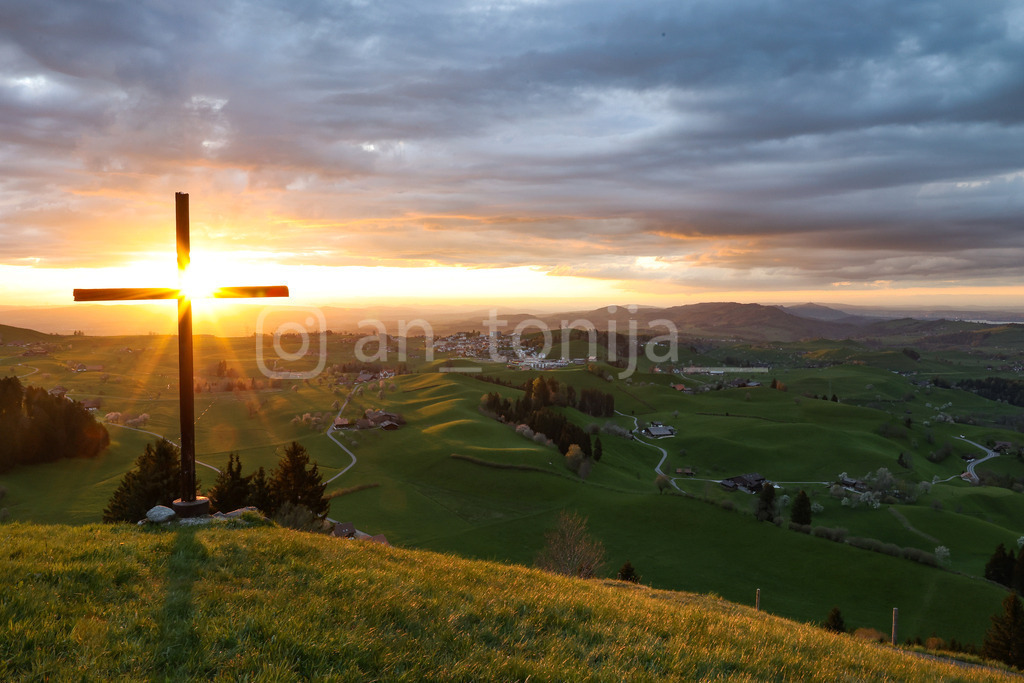 A.Trupina-65 | antonija-trupina - Realisiert mit Pictrs.com