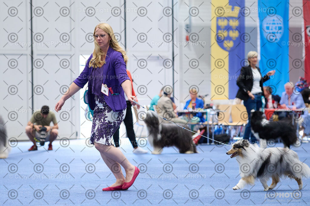 202406_ÖKV-IHA-Tulln24_DSC_2864 | proPHOTO - Realisiert mit Pictrs.com