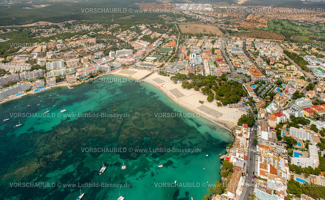 Mallorca230600184N | Luftbild, Hotelanlagen und Ortsansicht, Sonnenliegen und Sonnenschirme in Reih und Glied am Platja de Santa PonÃƒÆ’Ã‚Â§a, Strand Santa Ponsa, Calvia, Balearen, Mallorca, Balearische Inseln, Spanien
