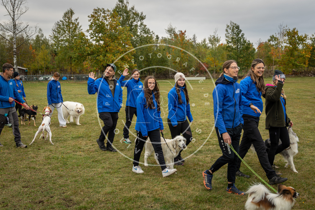 Pfotenfotografie_0L8A0276 | Hundefotografie, Tierfotograf, Pfotenfotografie, Fotoshooting Hund, Hunde Portrait, Hundesport, Hundeportraits, Heideshooting, Hunde, Sportfotograf, Hundefotograf, Turnierhundsport, THS,  - Realisiert mit Pictrs.com