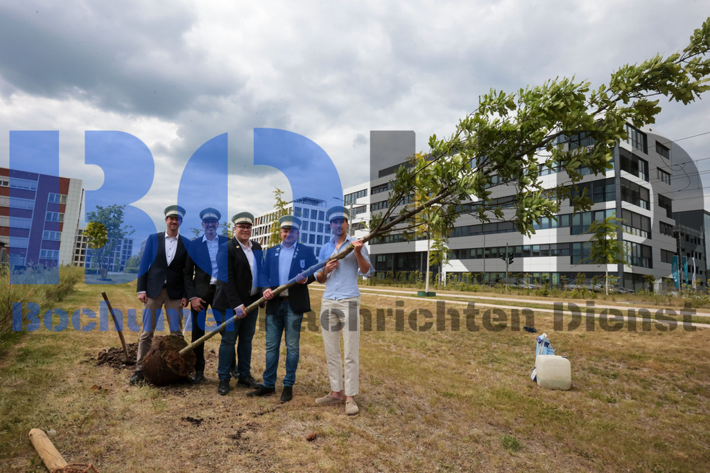 Eicheingrabung | Eicheingrabung - Realisiert mit Pictrs.com