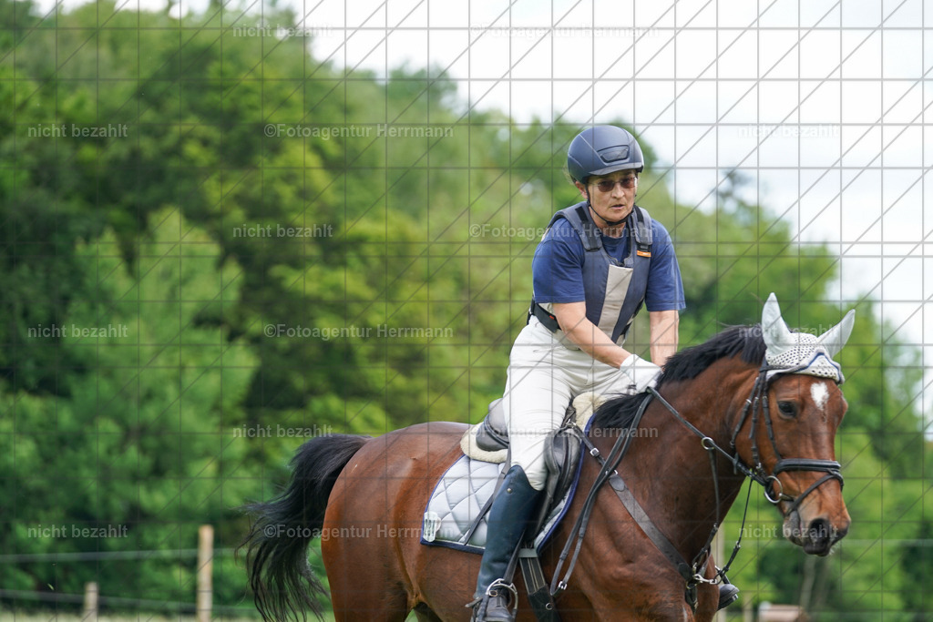 20240518-FAH03809 | Turnierbilder von Niederseon, Turnierfotografen Bayern, Fotoagentur Herrmann, Geländebilder, Reitsportfotografie