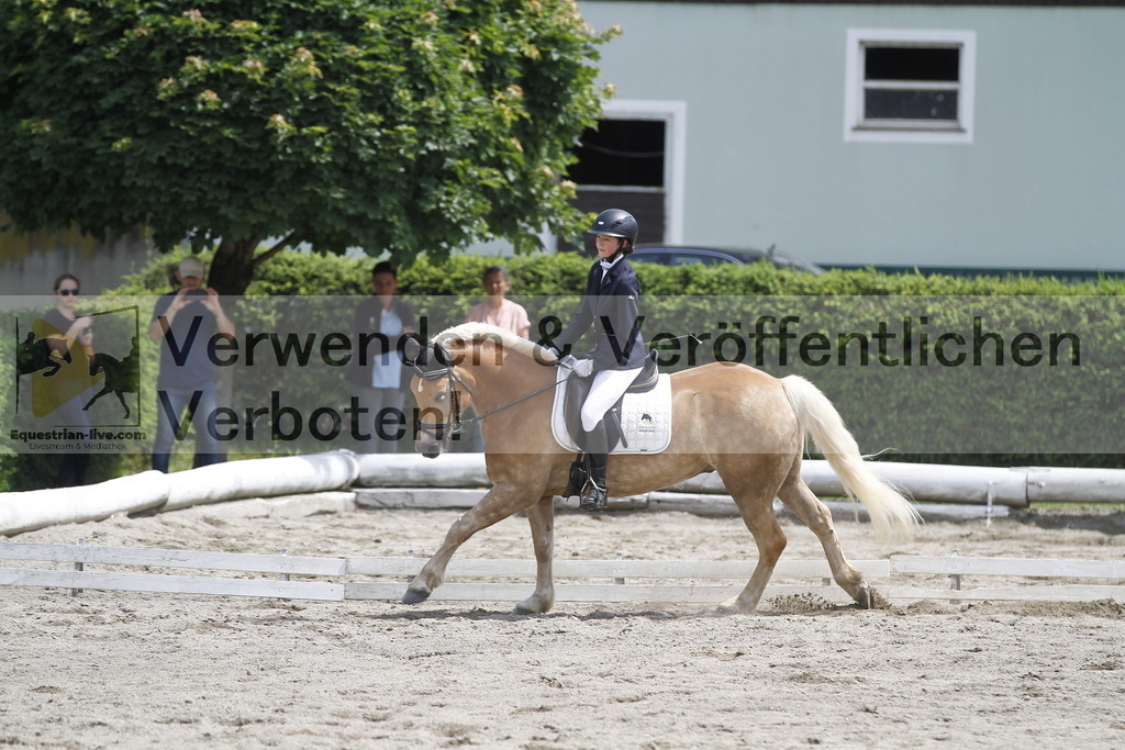 _MG_8569 | equestrian-live-com