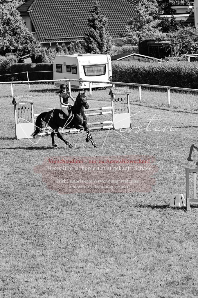 DSC_2079 | Pferde- und Turnierfotografie in Westsachsen. Pferdeportraits, Auftragszeichnungen und intuitive Kunst.