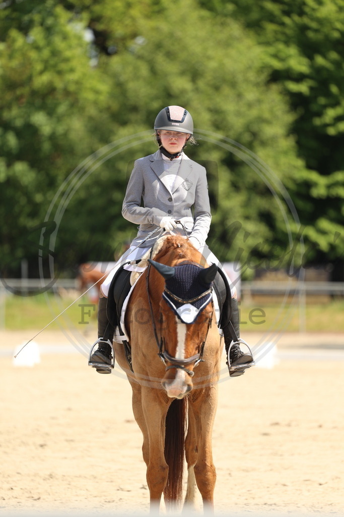 994A7183 | sabrinanicolaifotografie - Realisiert mit Pictrs.com