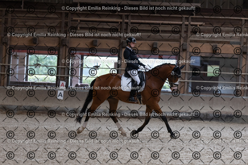 CL5A0802 | Emilia Reinking Fotografie - Realisiert mit Pictrs.com