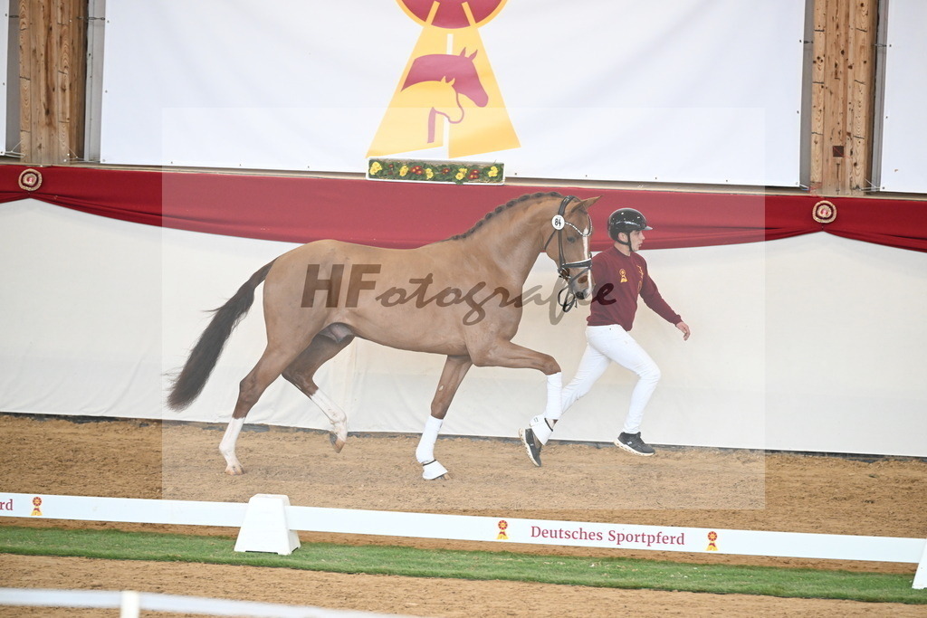Kat.-Nr. 84 v. Vaderland_van den Oetelaar_2250798 | hf-fotografie - Realisiert mit Pictrs.com