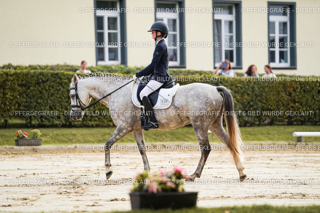 DSC05443 | Pferdegrafie