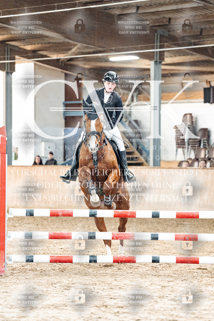 CK904130 | Turnierfotografie Pferdefotografie Trier Rheinland-Pfalz Pferdesport Reitsport Tierfotografie Sportfotografie Pferdevideo Pferdevideografie Equestrianvideography equestrianphotography  - Realisiert mit Pictrs.com