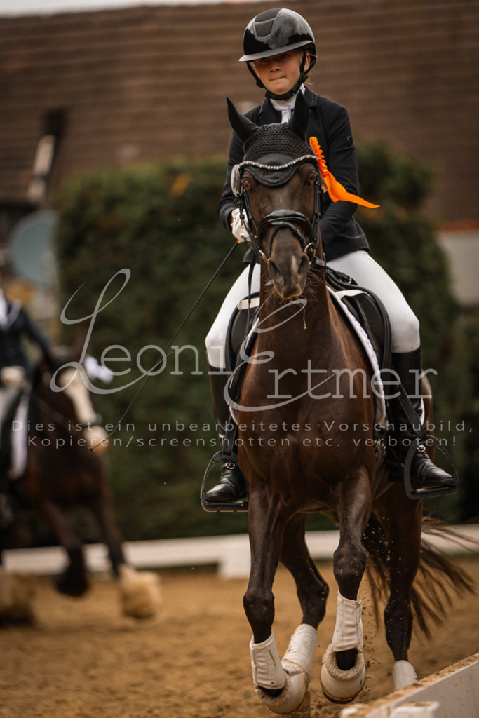 DoDrE00565 | Leoni Ertmer Photography - Realisiert mit Pictrs.com