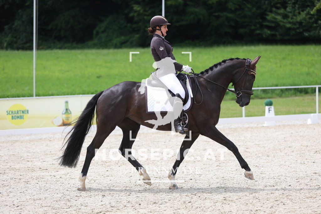 0P6A5343 | Willkommen bei Brunnmayr - Design & Fotografie – Ihrem Spezialisten für Reitturniere und Pferdeveranstaltungen in Oberösterreich, Salzburg und Bayern! Seit über 17 Jahren sind wir leidenschaftlich dabei.