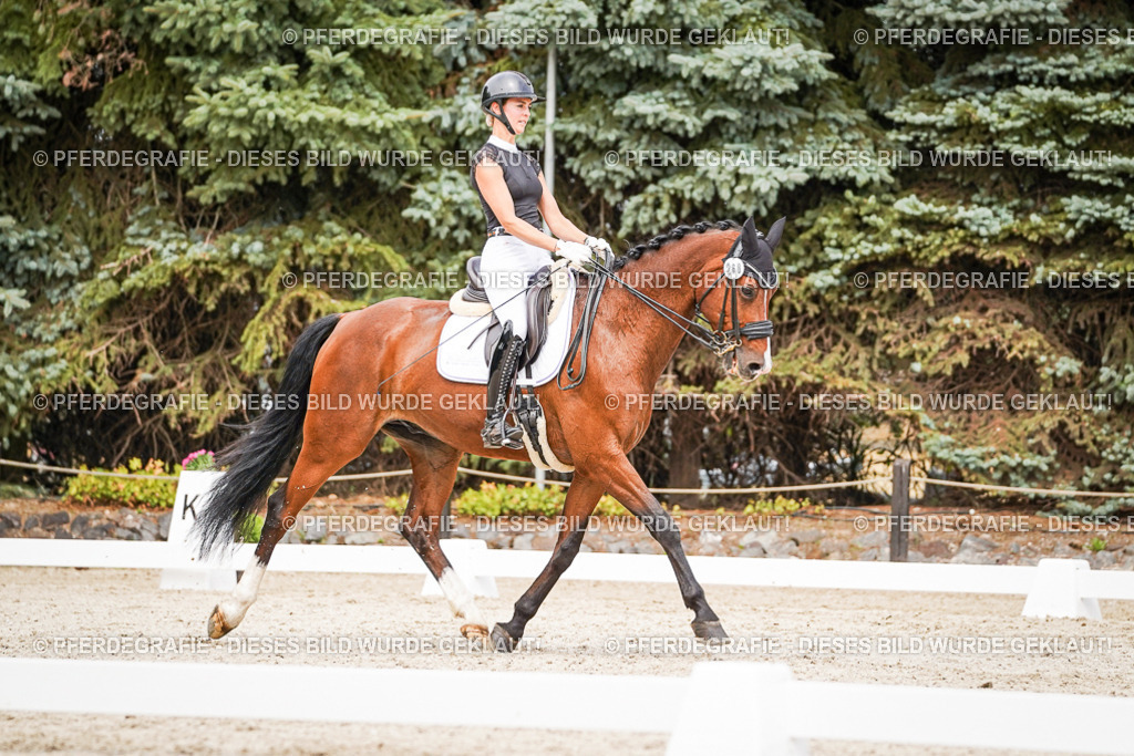 DSC06018 | Pferdegrafie