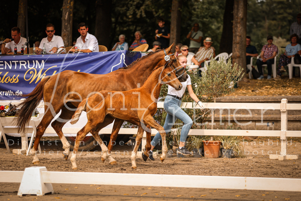 SaPA00191 | Leoni Ertmer Photography - Realisiert mit Pictrs.com