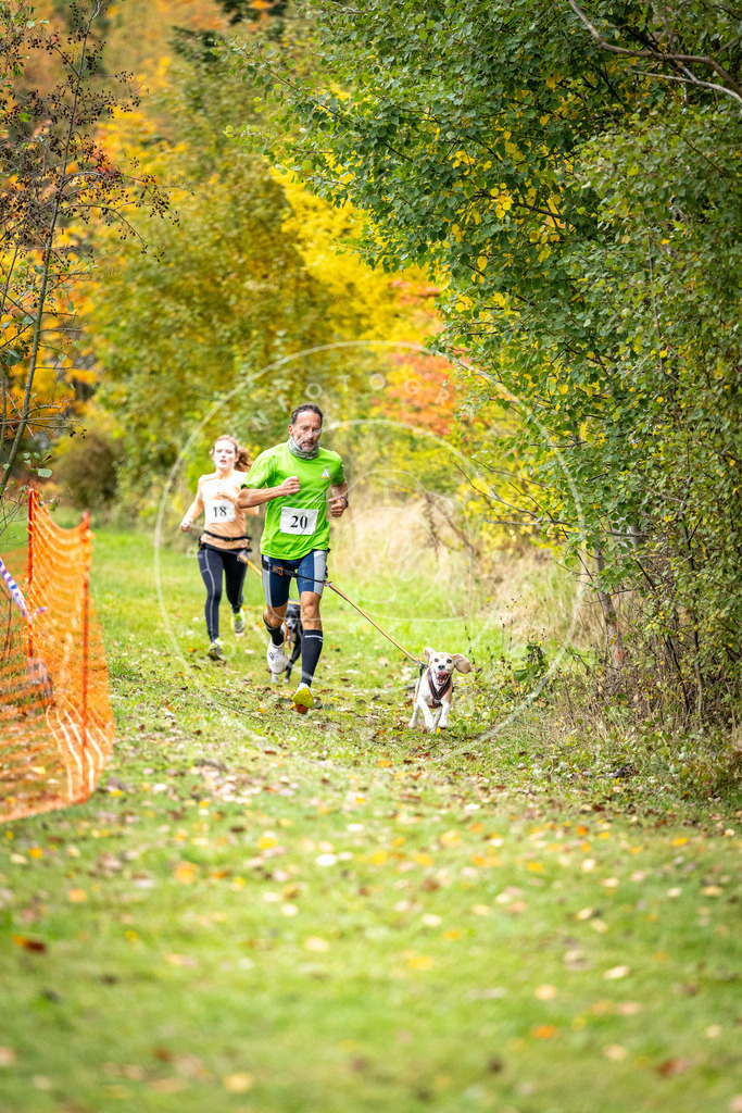 Pfotenfotografie_DV3A1858 | Hundefotografie, Tierfotograf, Pfotenfotografie, Fotoshooting Hund, Hunde Portrait, Hundesport, Hundeportraits, Heideshooting, Hunde, Sportfotograf, Hundefotograf, Turnierhundsport, THS,  - Realisiert mit Pictrs.com
