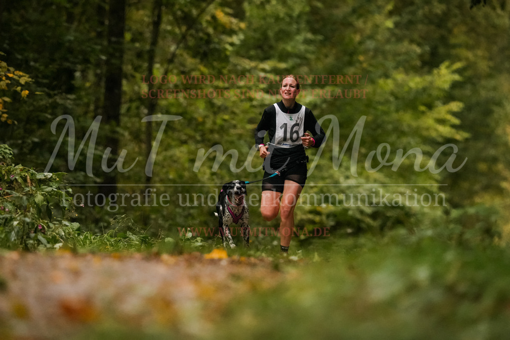 20251005_THS_Turnier-141 | MuT (Mensch und Tier) mit Mona - Fotografie und Tierkommunikation - Realisiert mit Pictrs.com