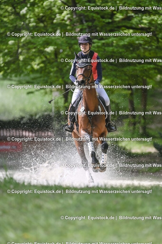 20250517_CCI2_Gelände_1087 | Foto: Thomas Hartig