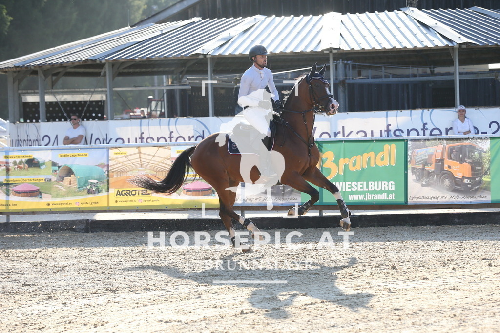 DL2Q0889 | Willkommen bei Brunnmayr - Design & Fotografie – Ihrem Spezialisten für Reitturniere und Pferdeveranstaltungen in Oberösterreich, Salzburg und Bayern! Seit über 17 Jahren sind wir leidenschaftlich dabei.