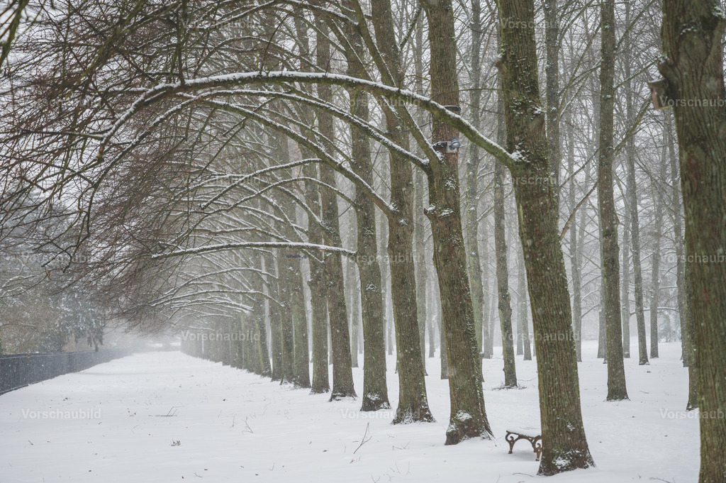 Celle im Schnee | Stadtlandschaften, sowie Makro-, Landschafts-, Natur- und Schwarzweißfotos aus der Region Celle &amp; Umgebung