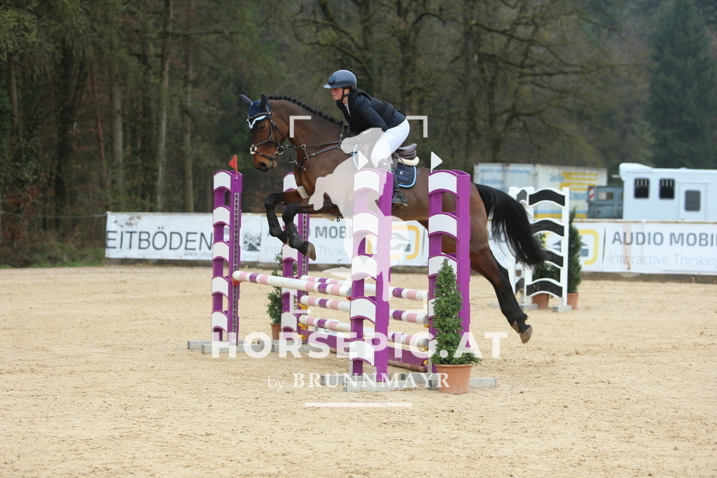 DL2Q8785 | Willkommen bei Brunnmayr - Design & Fotografie – Ihrem Spezialisten für Reitturniere und Pferdeveranstaltungen in Oberösterreich, Salzburg und Bayern! Seit über 17 Jahren sind wir leidenschaftlich dabei.