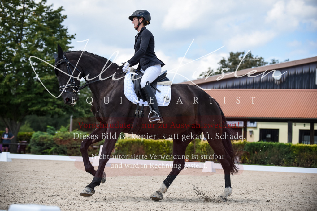 DSC_9060 | Pferde- und Turnierfotografie in Westsachsen. Pferdeportraits, Auftragszeichnungen und intuitive Kunst.