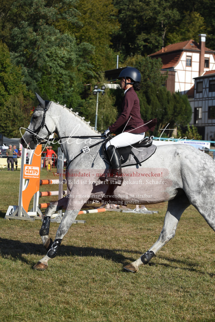 DSC_5259 | Pferde- und Turnierfotografie in Westsachsen. Pferdeportraits, Auftragszeichnungen und intuitive Kunst.