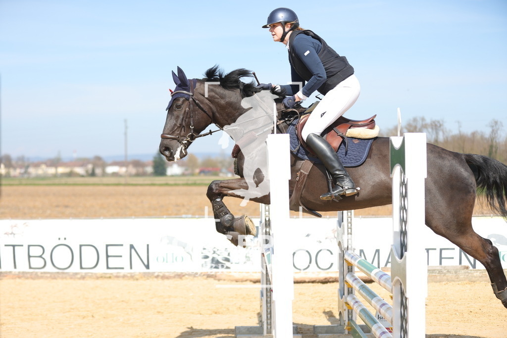 0P6A1091 | Willkommen bei Brunnmayr - Design & Fotografie – Ihrem Spezialisten für Reitturniere und Pferdeveranstaltungen in Oberösterreich, Salzburg und Bayern! Seit über 17 Jahren sind wir leidenschaftlich dabei.
