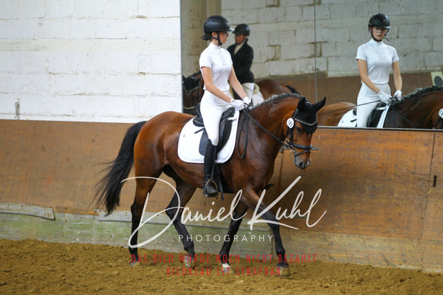 DKP43975 | Turniersportfotografie; Pferdefotografie; Dressurfotografie