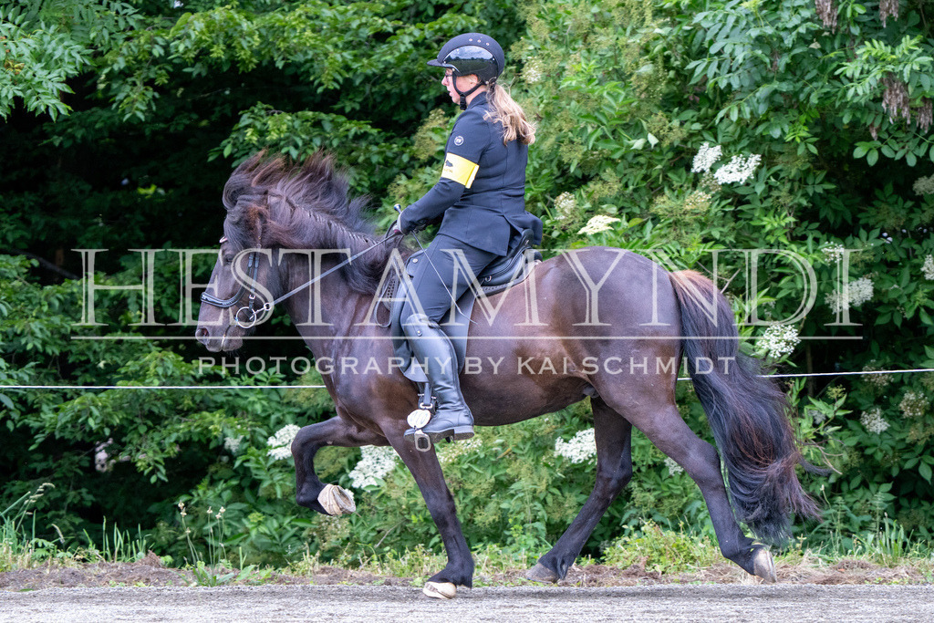 KAI09893 | Ihr sucht einen Fotografen für eure nächste OSI? Ich begleite auch euer Turnier für Islandpferde fotografisch.  - Realisiert mit Pictrs.com