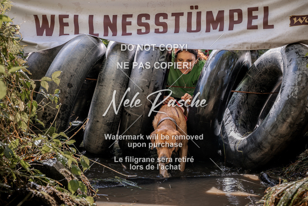 nelerasche_Hunsrück2026_Sa1400-1500_31 | nelerasche