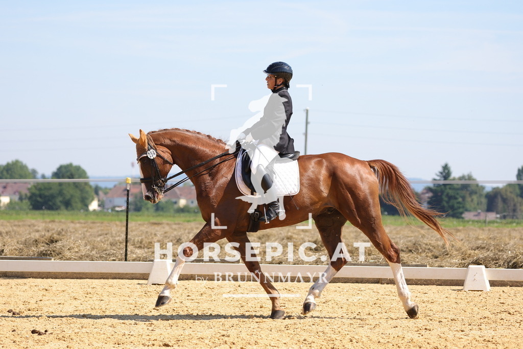 0P6A9575 | Willkommen bei Brunnmayr - Design & Fotografie – Ihrem Spezialisten für Reitturniere und Pferdeveranstaltungen in Oberösterreich, Salzburg und Bayern! Seit über 17 Jahren sind wir leidenschaftlich dabei.