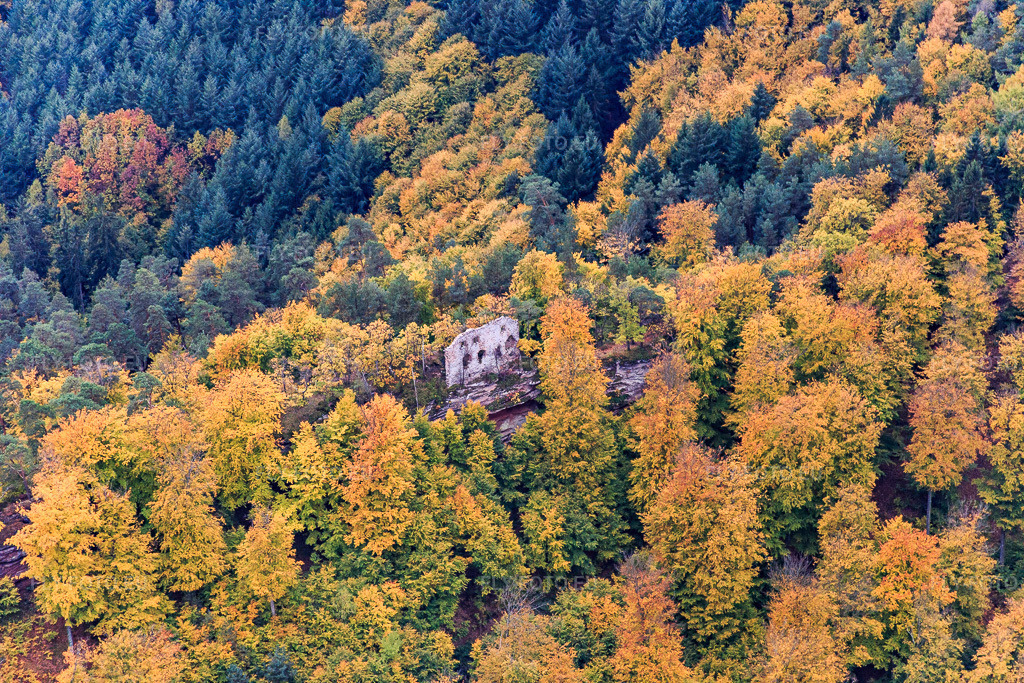 Vue aérienne: Château de Hohenfels à Dambach dans le département Bas Rhin, France – .Photo: IMG_084672.jpg prise le 23/10/2015 par Werner Riehm/FLY-FOTO.eu – Résolution de l'original: 5472 x 3648 px – Burg Hohenfels