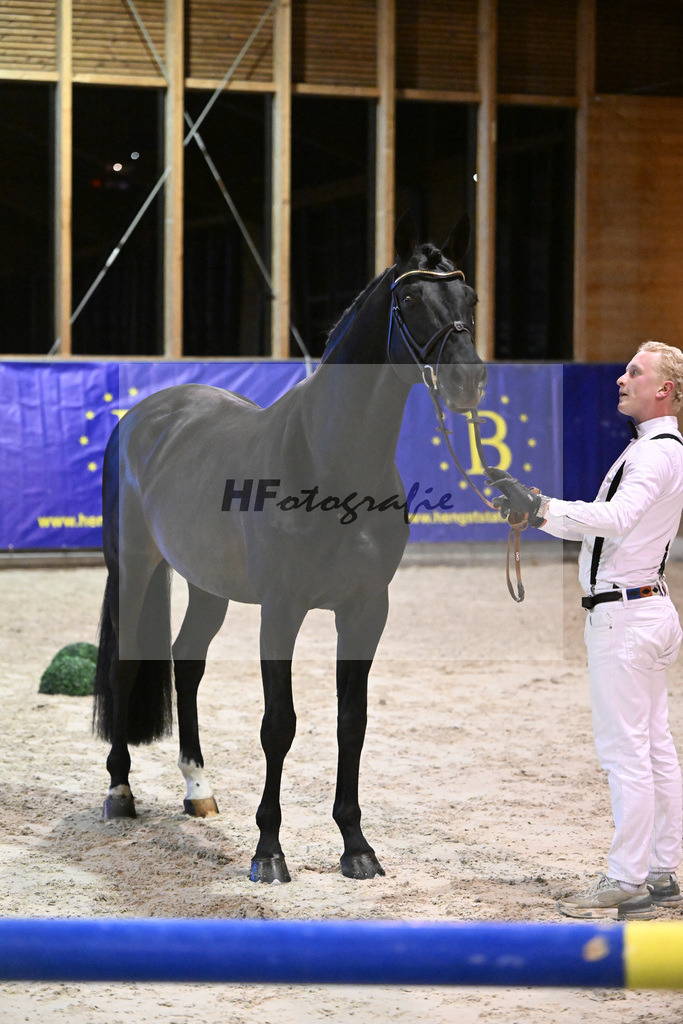 Adzarro de L Abbaye B_14261485 | hf-fotografie - Realisiert mit Pictrs.com