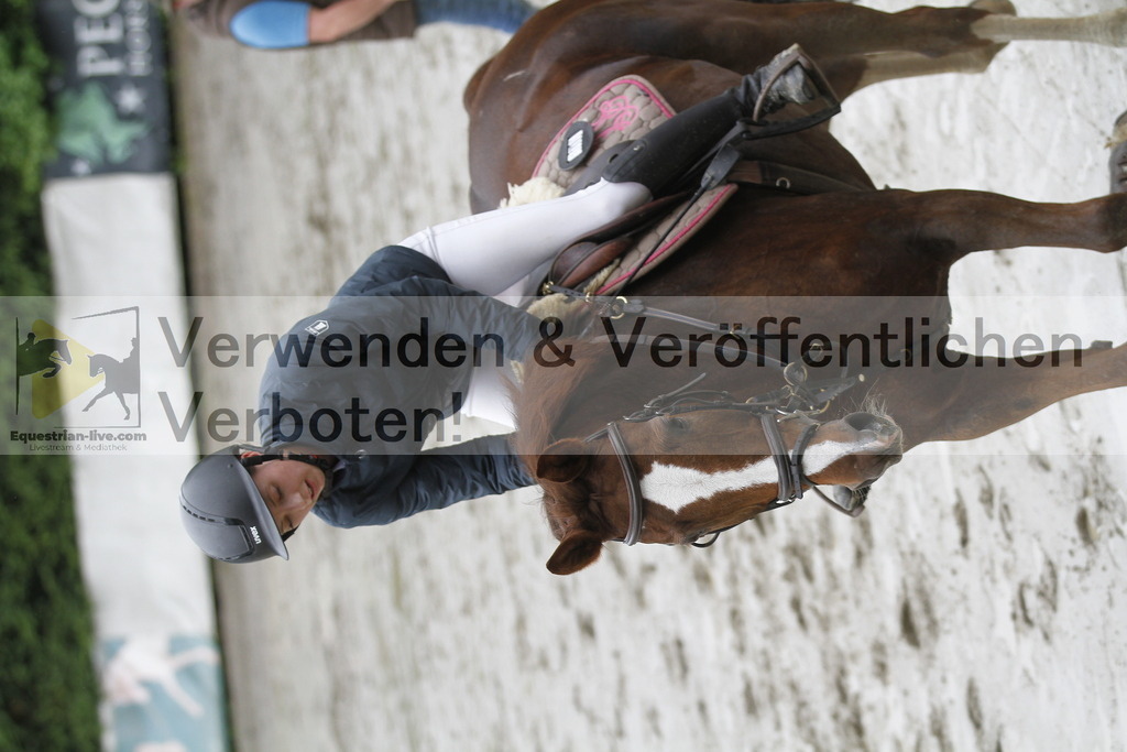 _MG_5737 | equestrian-live-com
