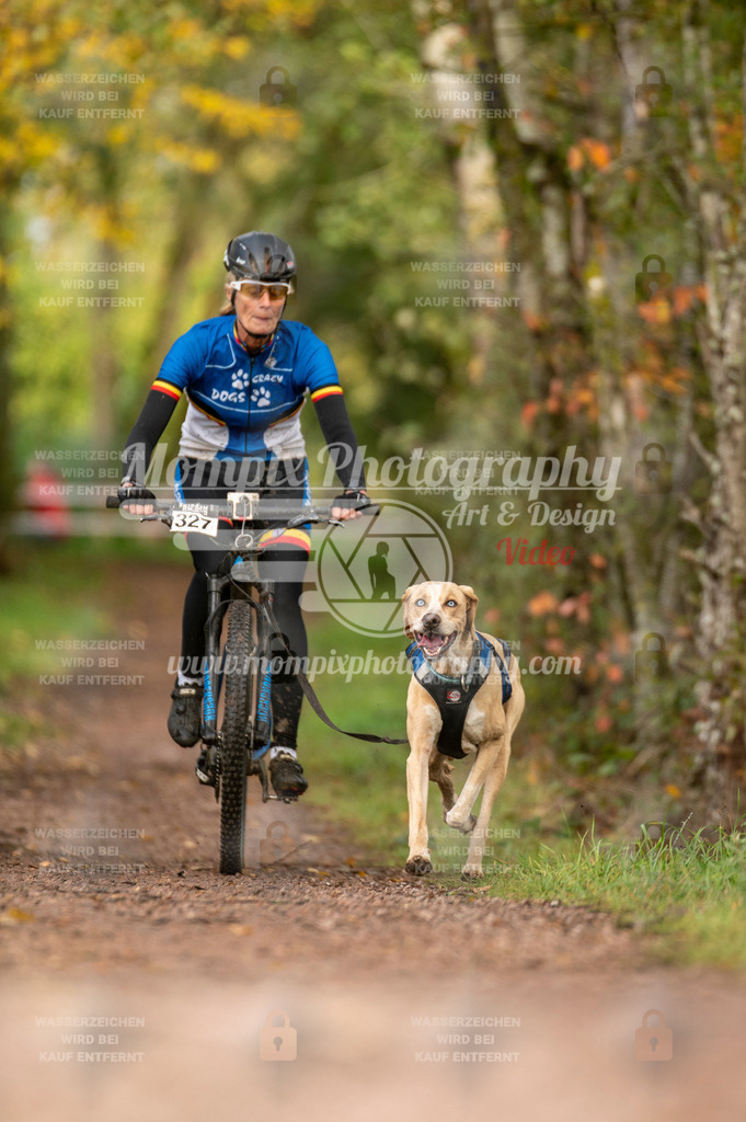 TSB_2023_E4_Bike-46 | PayLife