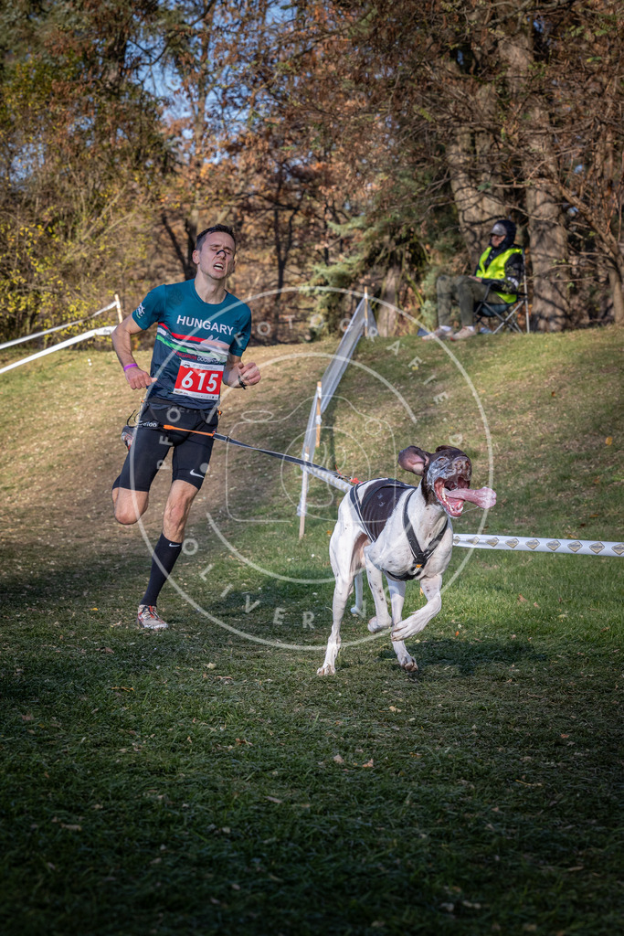 CaniXpix_0L8A8737 | Hundefotografie, Tierfotograf, Pfotenfotografie, Fotoshooting Hund, Hunde Portrait, Hundesport, Hundeportraits, Heideshooting, Hunde, Sportfotograf, Hundefotograf, Turnierhundsport, THS,  - Realisiert mit Pictrs.com