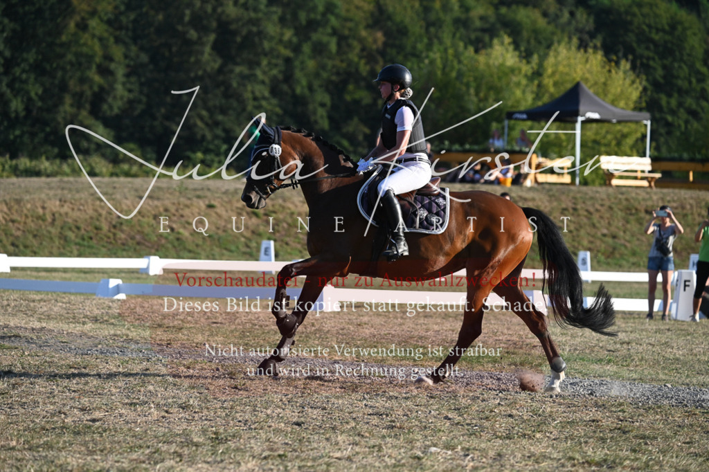 DSC_9159 | Pferde- und Turnierfotografie in Westsachsen. Pferdeportraits, Auftragszeichnungen und intuitive Kunst.