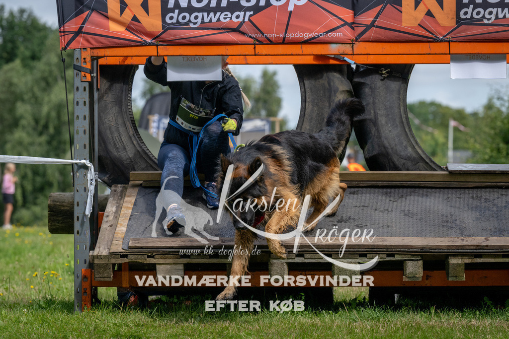 1137_ZZ92851 | kk-dogfotos