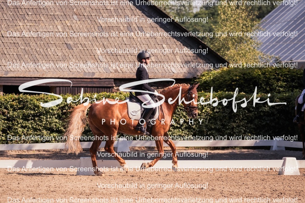 2025_05_31_DSCF2990 | People- und Tierfotografie, Imageaufnahmen, Veranstaltungsfotografie und Wandbilder aus der Natur ★ Made in Germany ✔️ Druck + Downloads ✔️ Naturfotografie in Top Qualität ★ schneller Versand, weltweite Lieferung! - Realisiert mit Pictrs.com