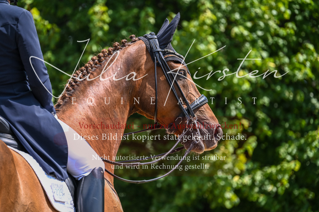 DSC_2718 | Pferde- und Turnierfotografie in Westsachsen. Pferdeportraits, Auftragszeichnungen und intuitive Kunst.
