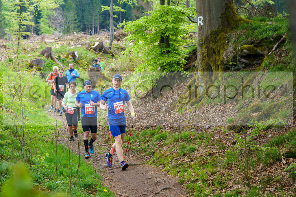 Rennsteiglauf 2023 | Rennsteiglauf 2023 am 12. Mai 2023 - Marathon-Strecke Neuhaus/Rwg. - Schmiedefeld