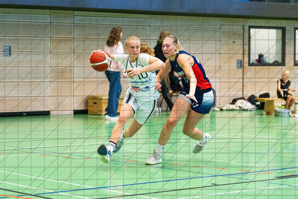 2. DBBL Nord 24/25 | 27.10.2024 | BBC OS vs. TSVE Bielefeld | 2. DBBL Nord 24/25 | 27.10.2024 | BBC OS vs. TSVE Bielefeld - - - - - CREDIT, www.bullenfotos.de, Martin König, Hörner Weg 40, D-49078 Osnabrück, +4917663732967, Nutzung und Weitergabe nur zu den vereinbarten Zwecken. Presseanfragen an Urheber. Alle Rechte beim Urheber. - - - - - - Realisiert mit Pictrs.com