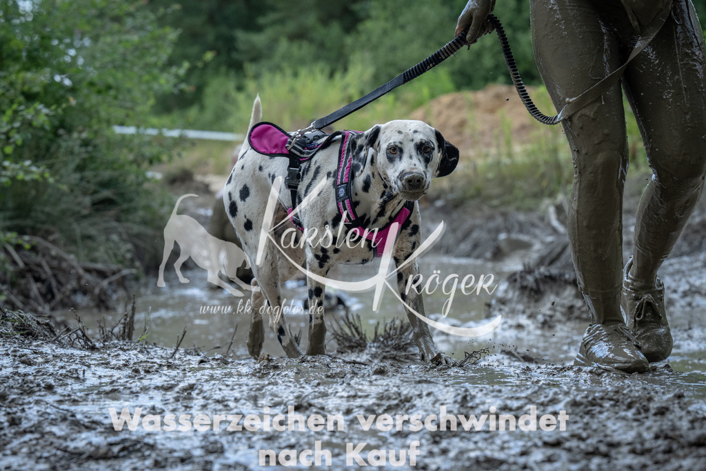 1155_ZZ93620 | kk-dogfotos