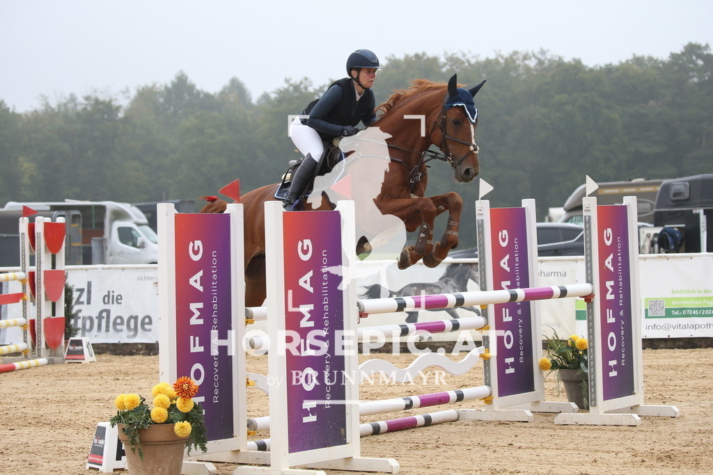 DL2Q3661 | Willkommen bei Brunnmayr - Design & Fotografie – Ihrem Spezialisten für Reitturniere und Pferdeveranstaltungen in Oberösterreich, Salzburg und Bayern! Seit über 17 Jahren sind wir leidenschaftlich dabei.